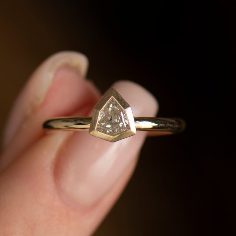 This Lorraine Schwartz @lorraineschwartz ring employs a feature shield cut  emerald with accenting kite cut diamonds to create a stun… | 宝石ジュエリー,  ジュエリーアクセサリー, アクセサリー